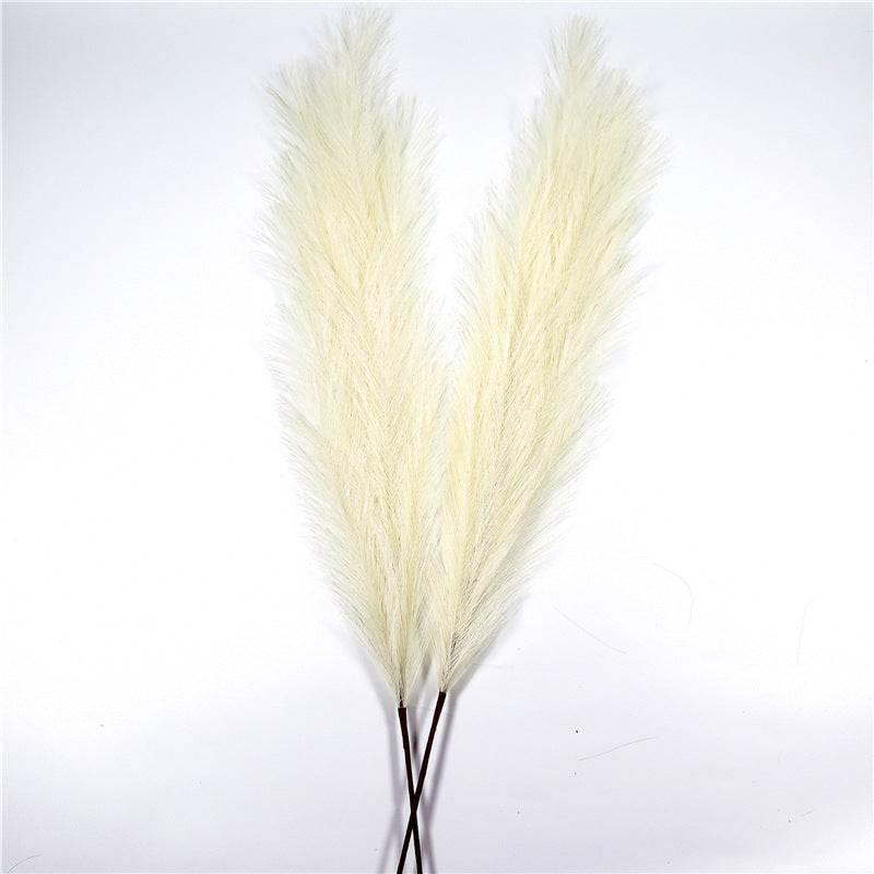Faux Pampas Grass Stems – Cream