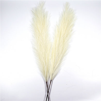 Faux Pampas Grass Stems – Cream