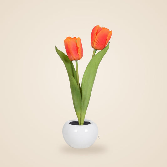 Tulip Flower Night Light